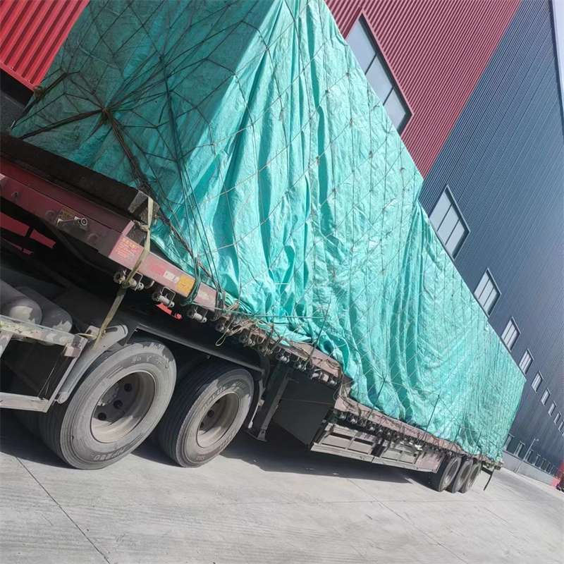 肇东市台江县进仓物流：专线直达的多元货运探索