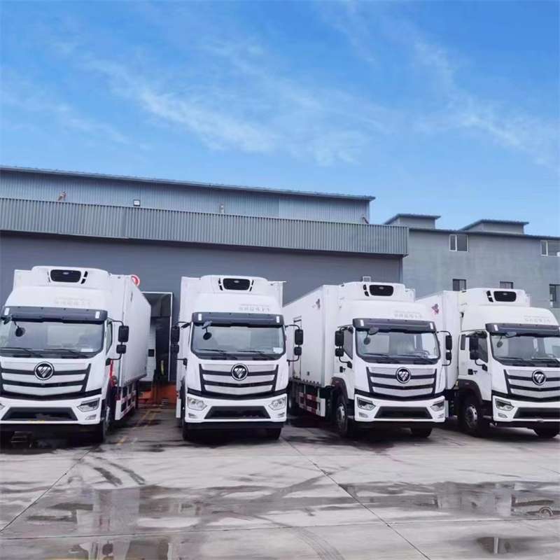 肇东市新龙县进仓物流：多元专线直达运输探秘