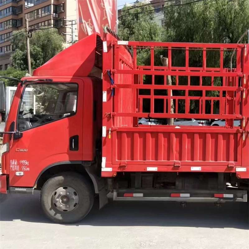 肇东市雅安市物流专线：大件出口快运的多维探索